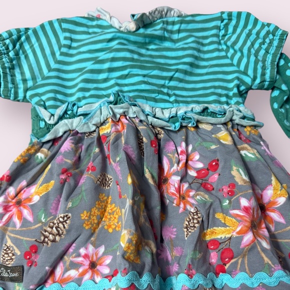 Baby Matilda Jane Stripe Polka Dot Fall Floral Print Mushroom Dress 12-18 Mon - Picture 9 of 10